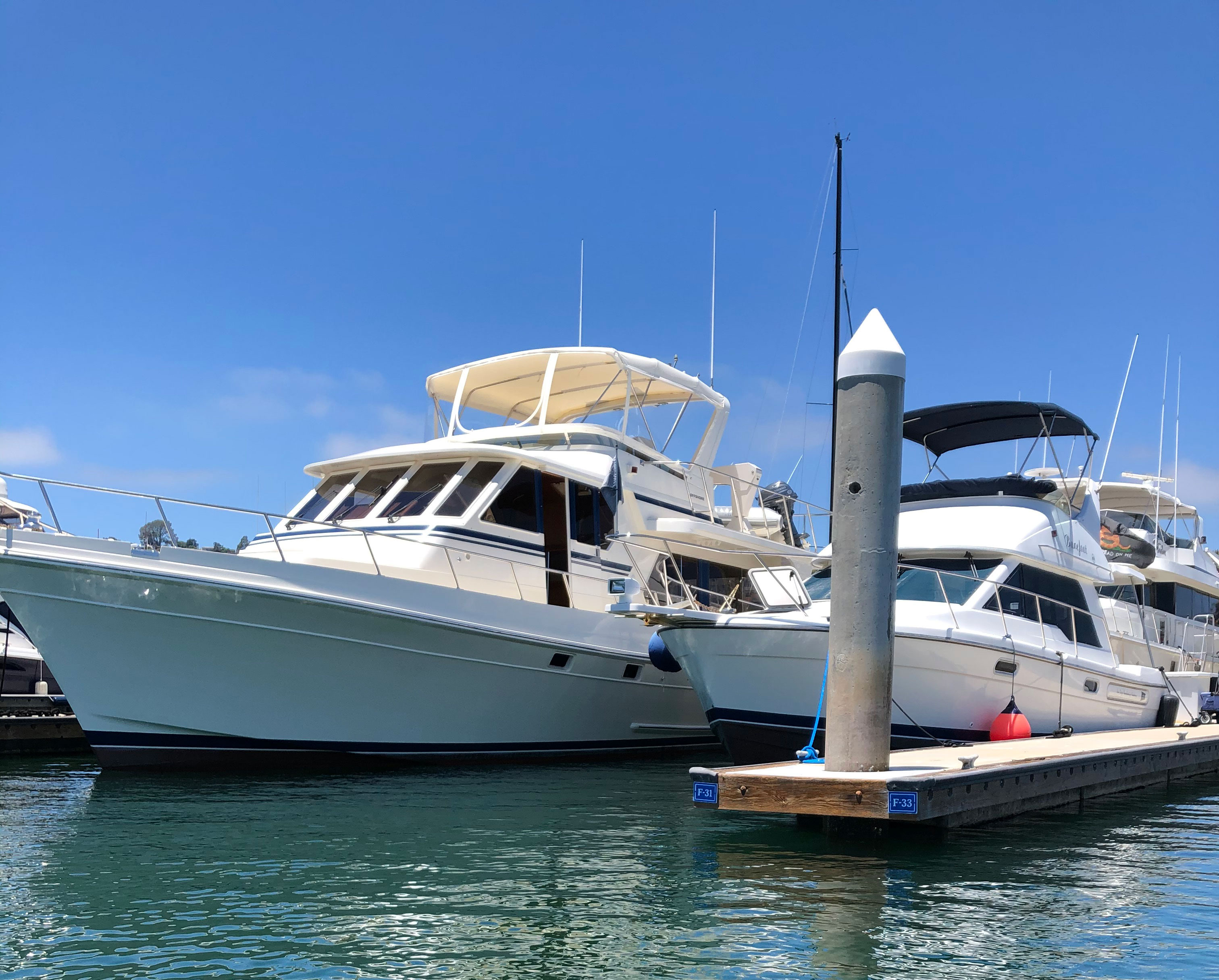 Powerboats docked in the San Diego harbor awaiting a charter.