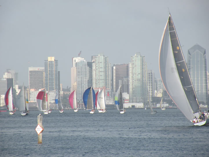 Sailboats in the San Diego Harbor